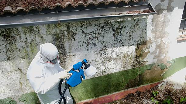 Top rated local Mold Remediation specialists in Columbia, PA